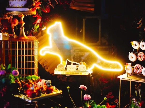 寧波元旦晚會搭配燈光租賃設備找誰？